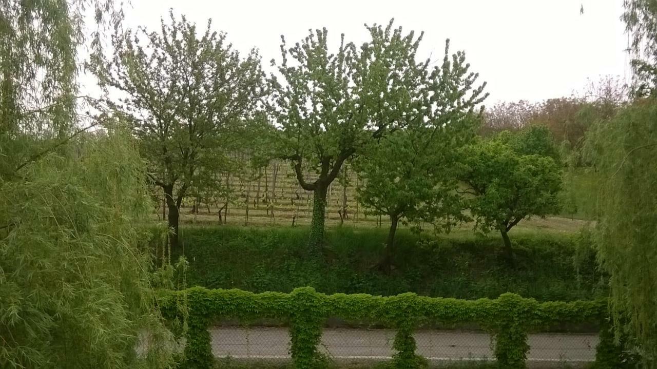 Agriturismo Cascina Barin Roddi Kültér fotó